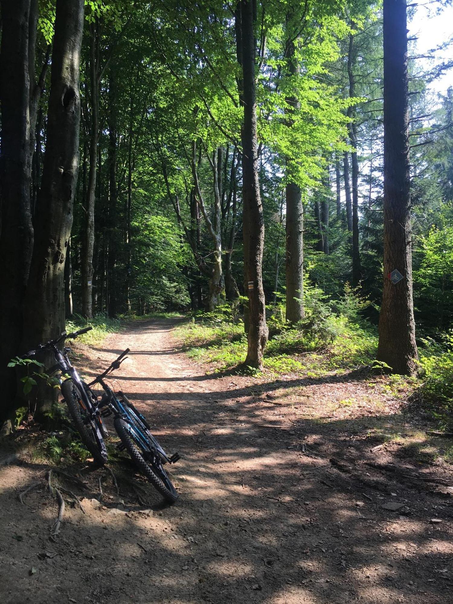 Blachutowka Villa Krynica-Zdrój Kültér fotó